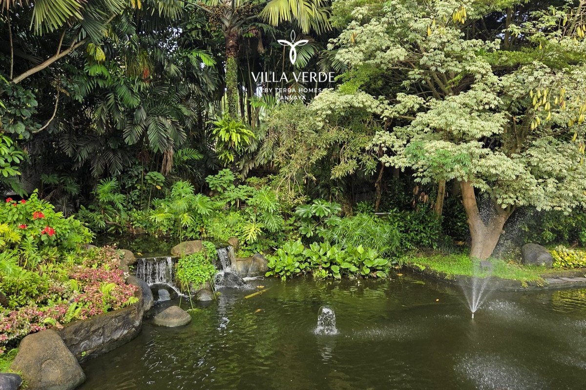 Landscaped garden pond with a small fountain