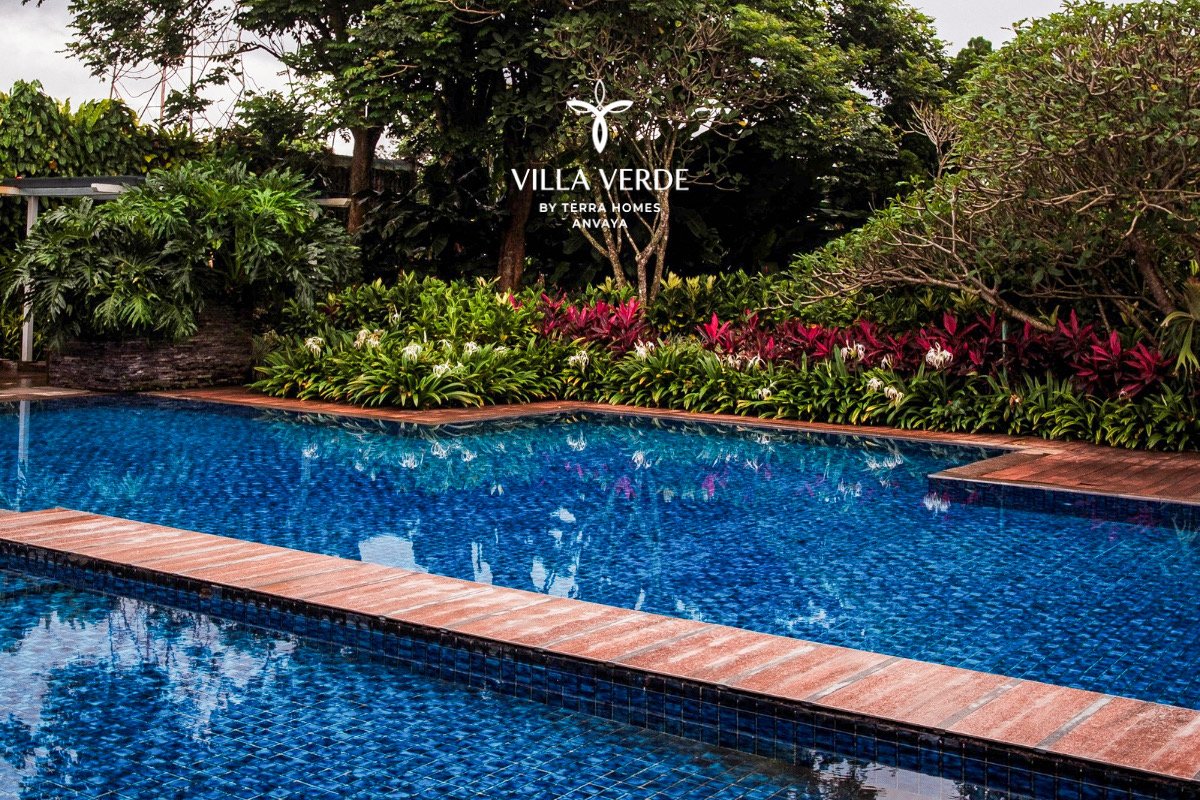 Swimming pool bordered by tropical planting